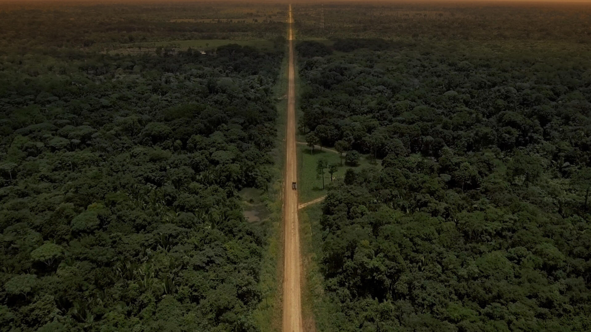 a long shot of the amazon rainforest